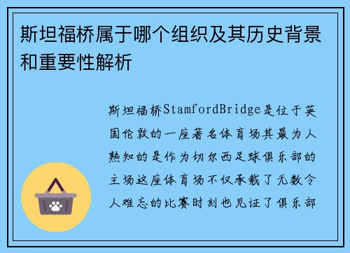 斯坦福桥属于哪个组织及其历史背景和重要性解析