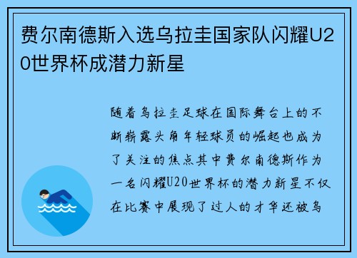 费尔南德斯入选乌拉圭国家队闪耀U20世界杯成潜力新星